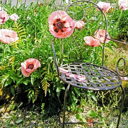 Gruene Auszeit Bed & Breakfast 3*